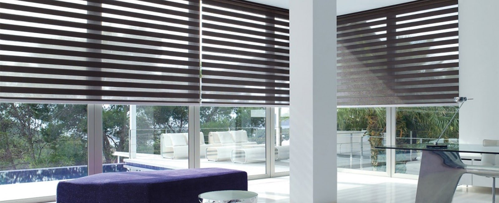 Zebra Blinds